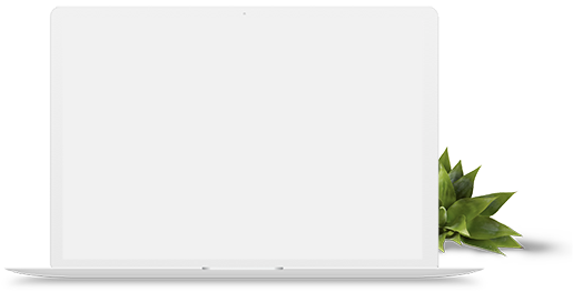 Web Developement Web Developement