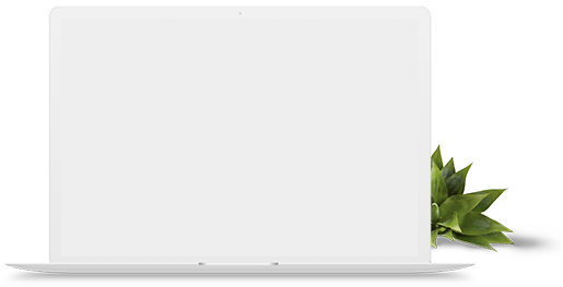 Paid Ads